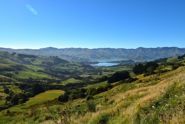 ニュージーランド